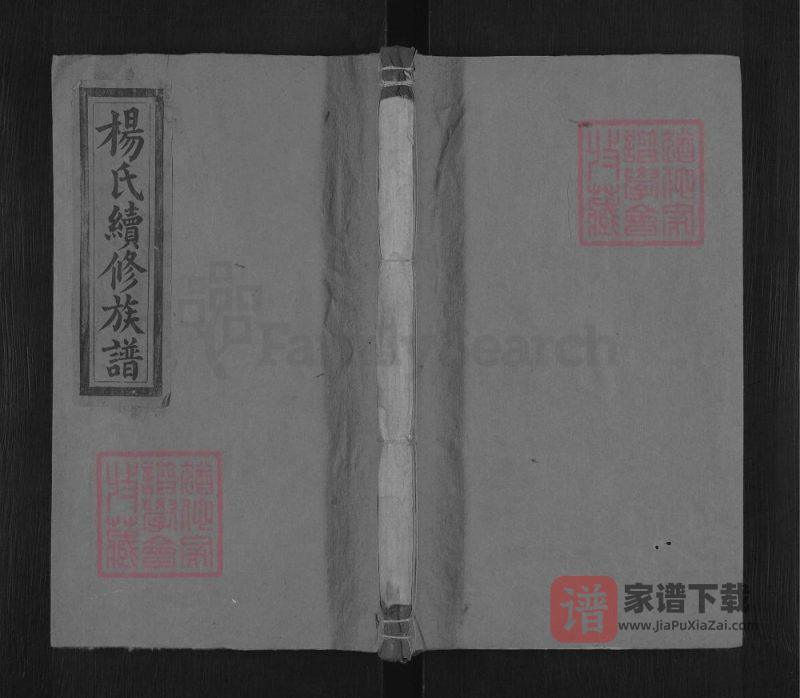 湖南邵阳杨氏续修族谱(清德堂)PDF高清电子版下载-家谱下载
