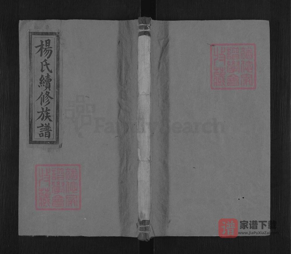 湖南邵阳杨氏续修族谱（清德堂）PDF高清电子版下载