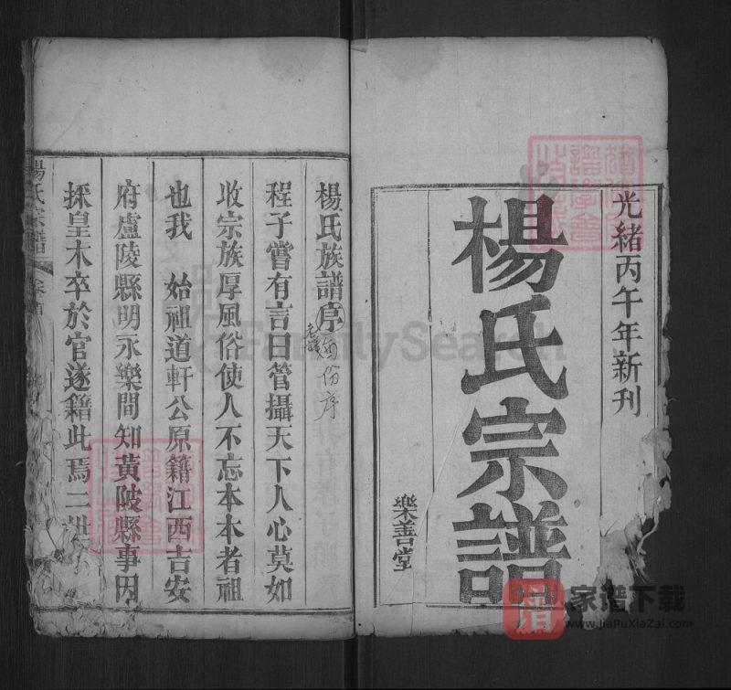 湖北武汉黄陂杨氏宗谱(乐善堂)PDF高清电子版下载-家谱下载