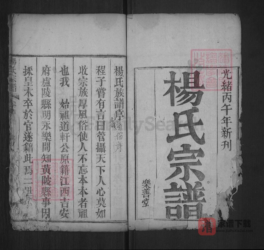 湖北武汉黄陂杨氏宗谱（乐善堂）PDF高清电子版下载
