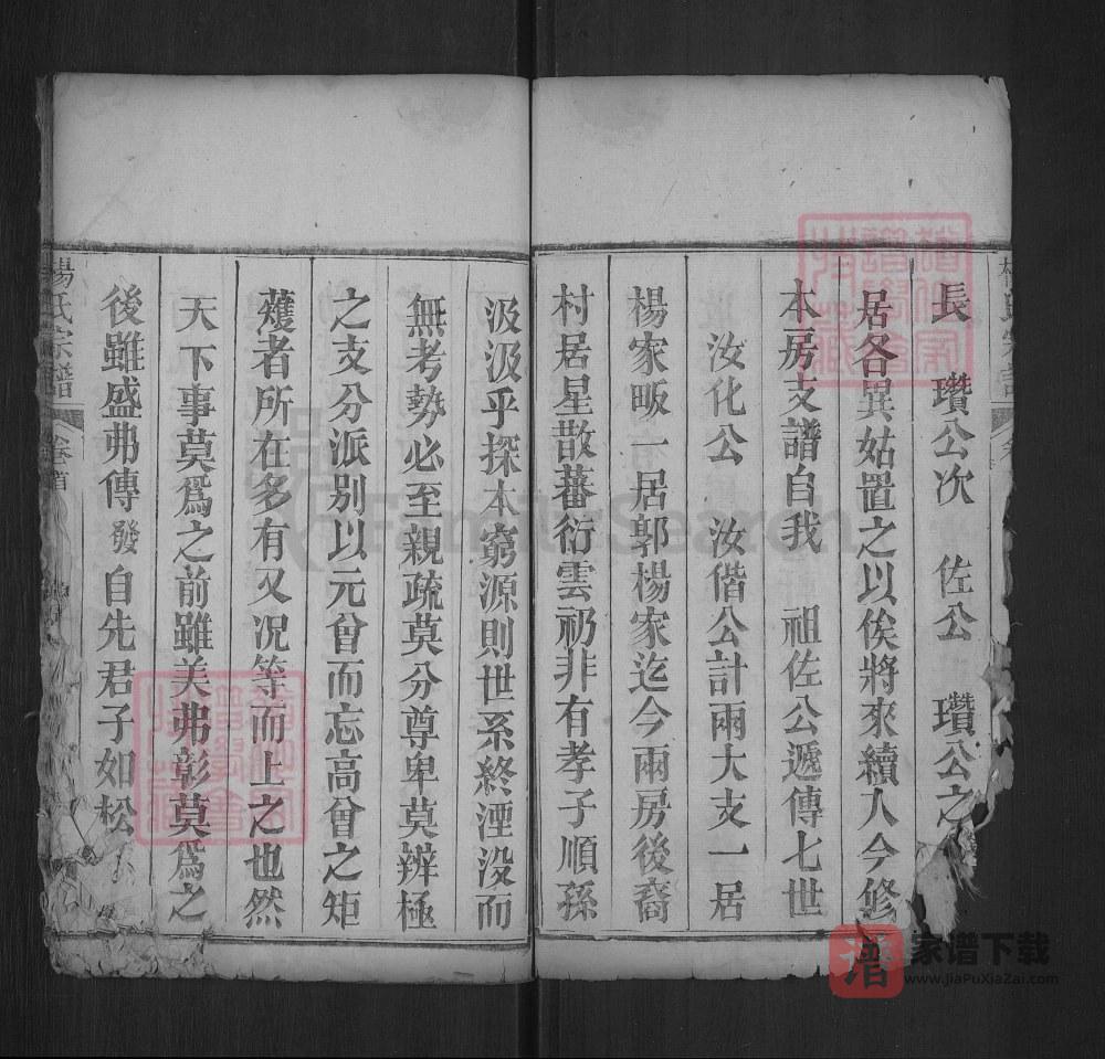 图片[2]-湖北武汉黄陂杨氏宗谱（乐善堂）PDF高清电子版下载-家谱下载