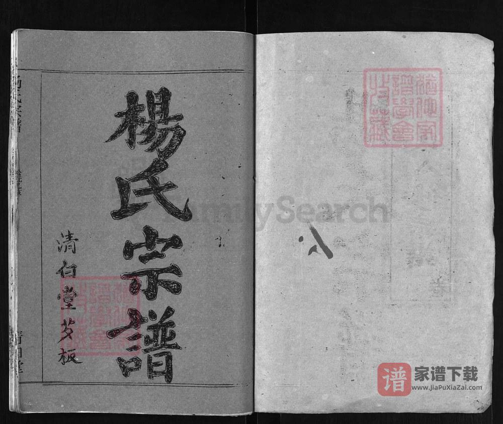 图片[2]-湖北黄冈杨氏八修宗谱（清白堂）PDF高清电子版下载-家谱下载