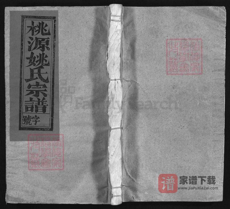 江西上饶桃源姚氏宗谱PDF高清电子版下载-家谱下载