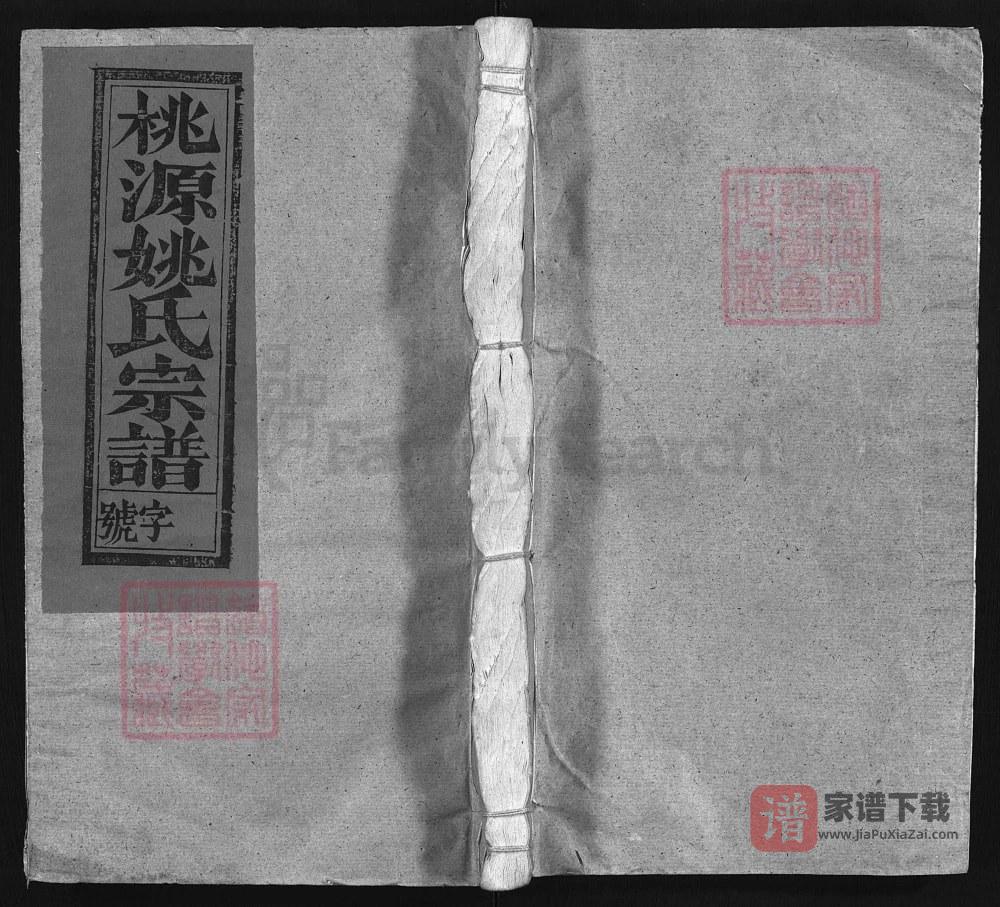 江西上饶桃源姚氏宗谱PDF高清电子版下载