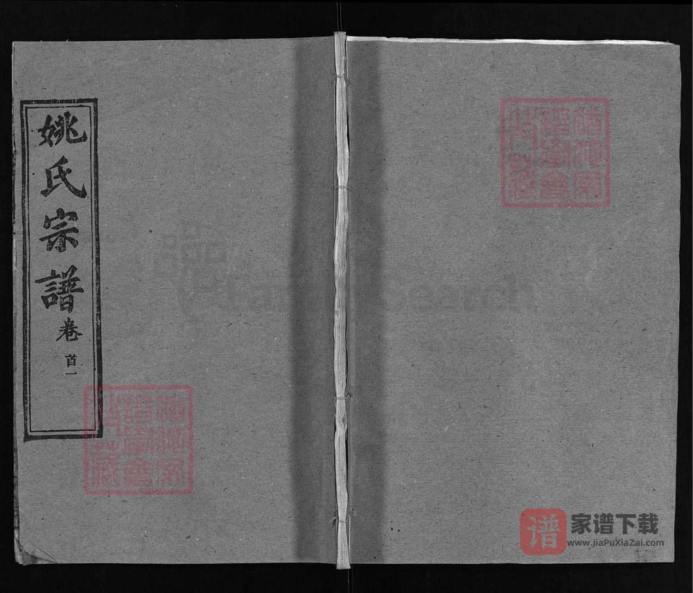 湖北黄冈浠水浠川姚氏宗谱（务本堂）PDF高清电子版下载