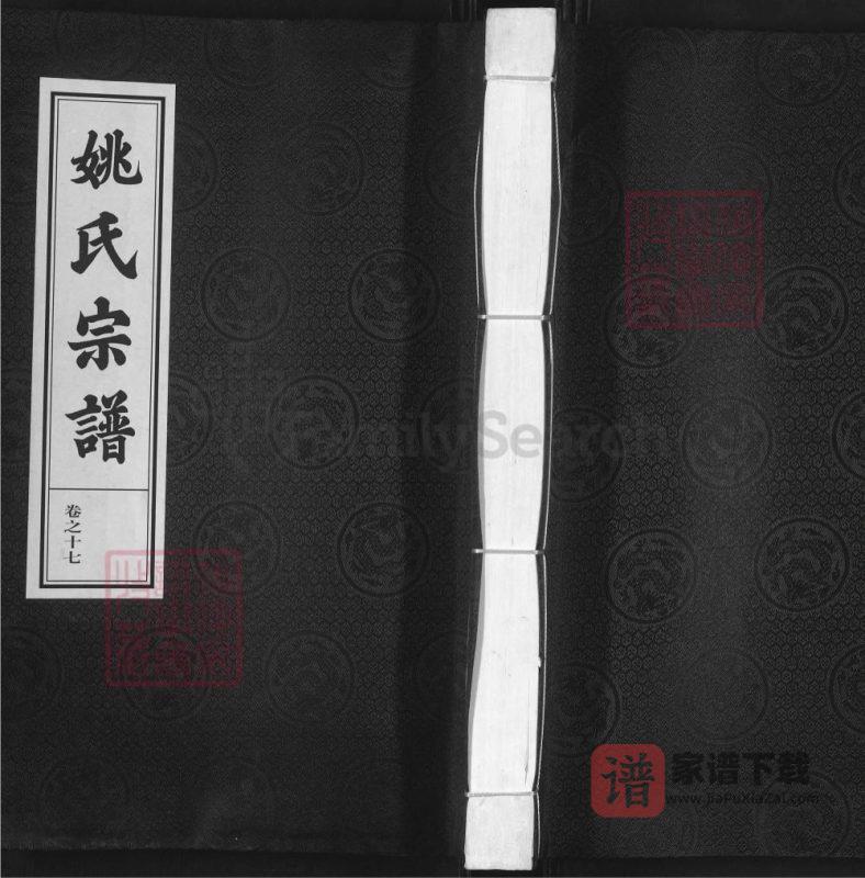 浙江杭州淳安姚氏宗谱（敦睦堂）PDF高清电子版下载-家谱下载