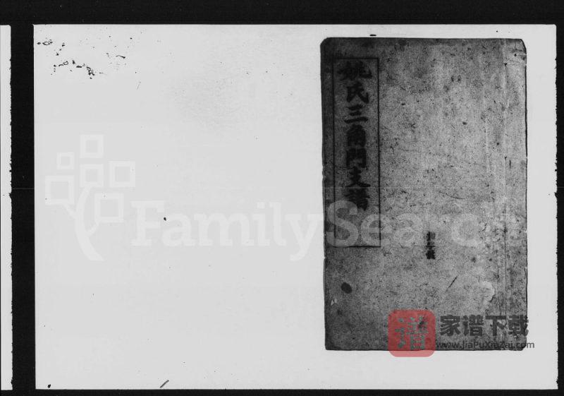 湖南益阳资阳姚氏三角门支谱(吴兴堂)PDF高清电子版下载-家谱下载