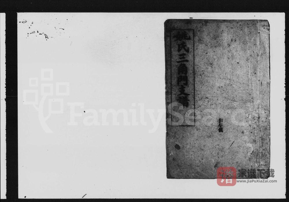 图片[1]-湖南益阳资阳姚氏三角门支谱（吴兴堂）PDF高清电子版下载-家谱下载