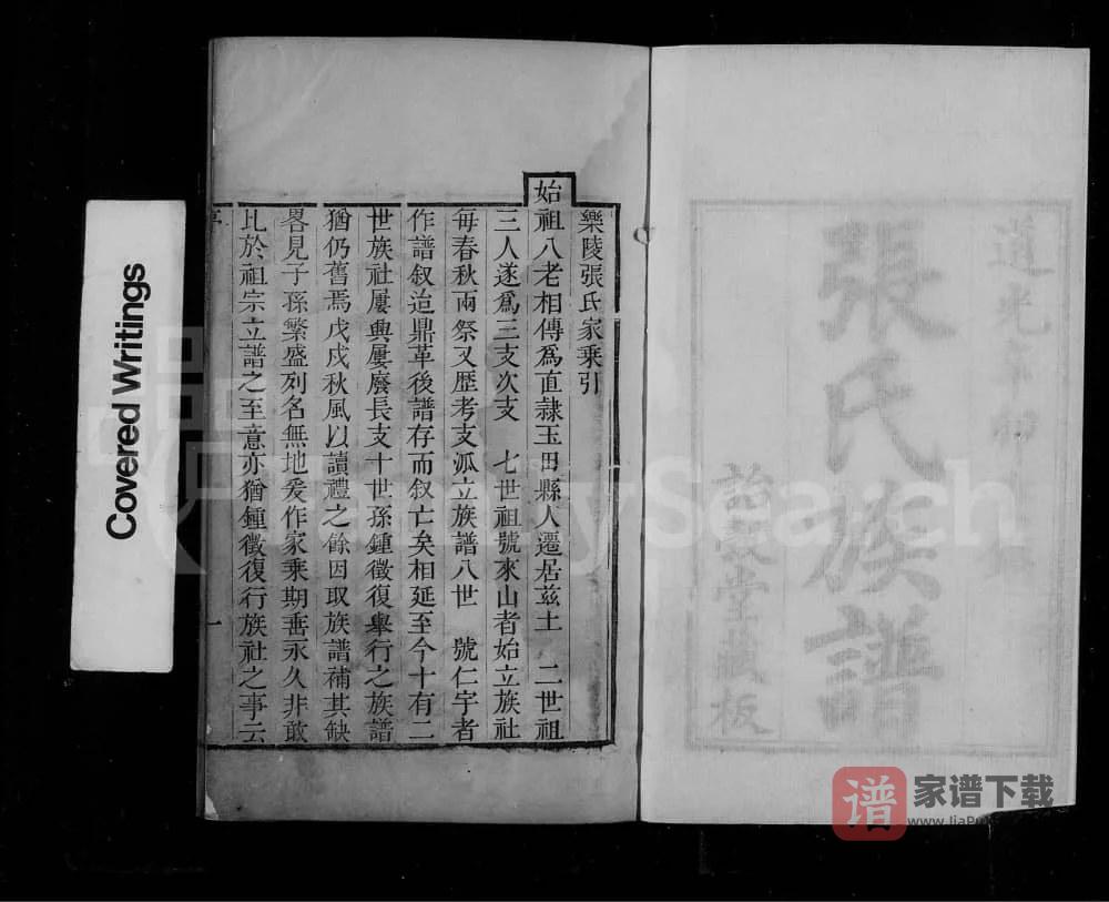 图片[1]-山东乐陵张氏族谱（诒谷堂）PDF高清电子版下载-家谱下载
