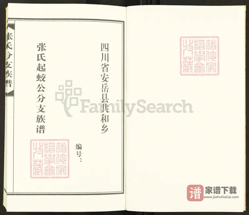 图片[2]-四川资阳安岳张氏起蛟公分支族谱PDF高清电子版下载-家谱下载