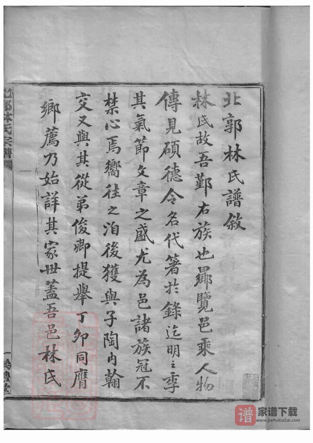 图片[2]-浙江宁波北郭林氏宗谱（崇礼堂）PDF高清电子版下载-家谱下载