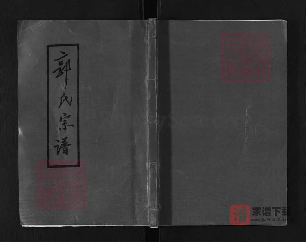 图片[1]-湖南郴州郭氏宗谱（敦本堂）PDF高清电子版下载-家谱下载