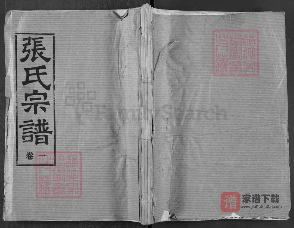 图片[1]-湖北汉川张氏宗谱（南轩堂）PDF高清电子版下载-家谱下载