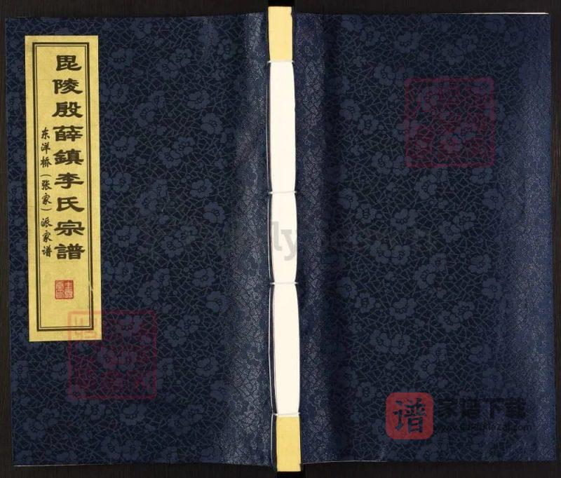 江苏常州毗陵殷薛镇李氏宗谱(垂裕堂)PDF高清电子版下载-家谱下载