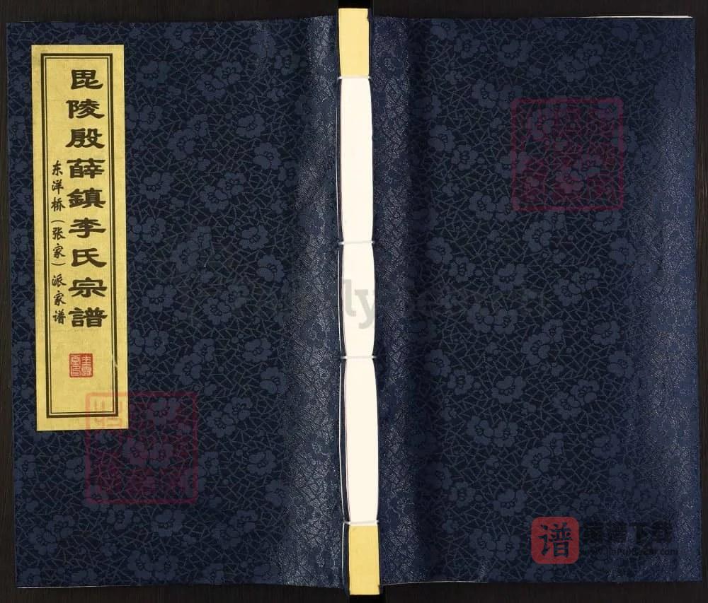图片[1]-江苏常州毗陵殷薛镇李氏宗谱（垂裕堂）PDF高清电子版下载-家谱下载