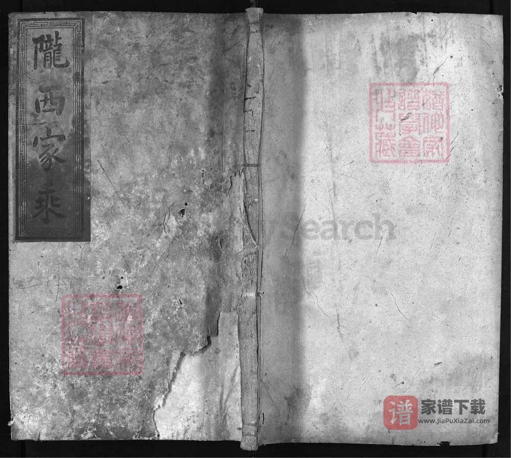 图片[1]-湖南娄底新化龙溪李氏族谱PDF高清电子版下载-家谱下载
