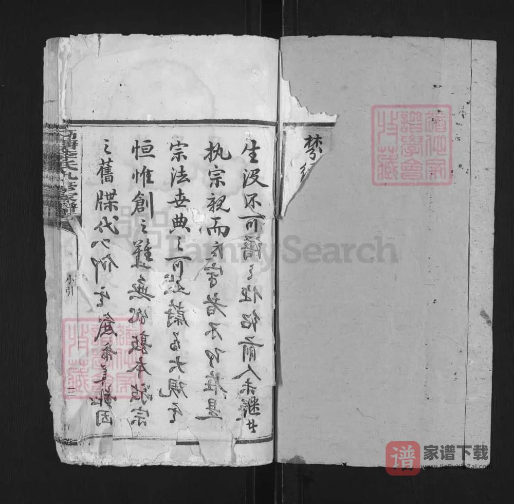图片[2]-湖南湘潭高塘李氏九修家谱PDF高清电子版下载-家谱下载