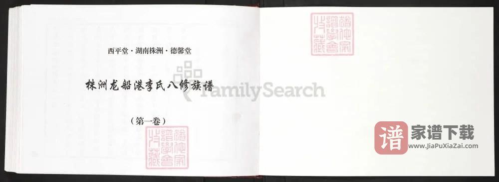 图片[2]-湖南株洲龙船港李氏八修族谱（德馨堂、西平堂）PDF高清电子版下载-家谱下载