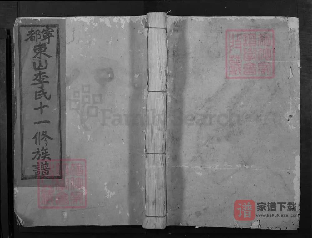 图片[1]-江西宁都东山李氏十一修族谱PDF高清电子版下载-家谱下载