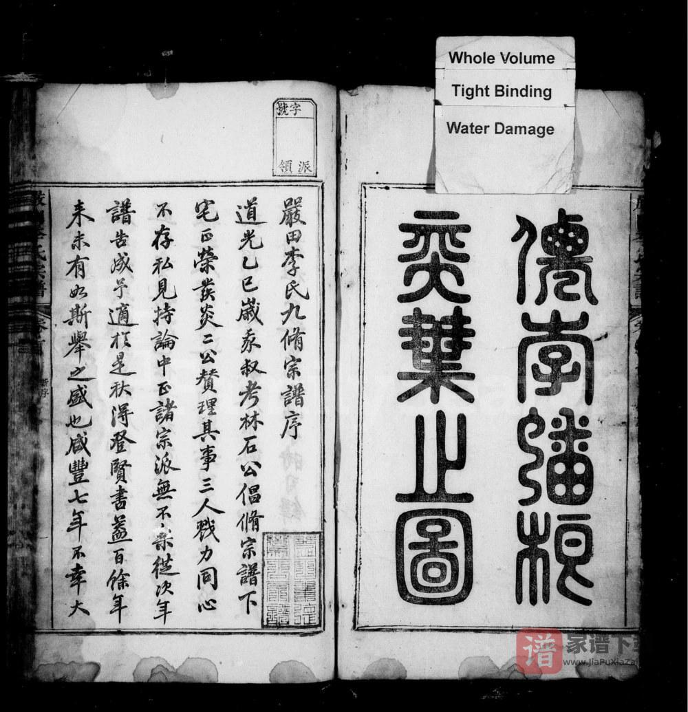 图片[2]-江西上饶婺源星江严田李氏宗谱PDF高清电子版下载-家谱下载