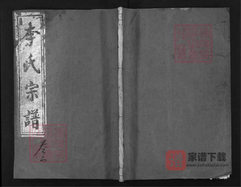 湖北黄冈罗田李氏宗谱(孝义堂)PDF高清电子版下载-家谱下载