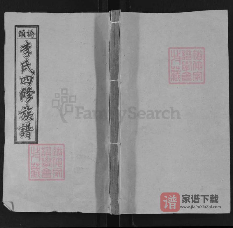 湖南湘乡桥头李氏四修族谱（报本堂）PDF高清电子版下载-家谱下载