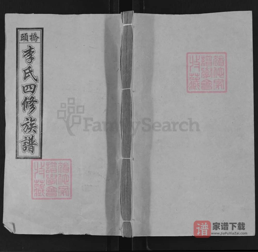 图片[1]-湖南湘乡桥头李氏四修族谱（报本堂）PDF高清电子版下载-家谱下载