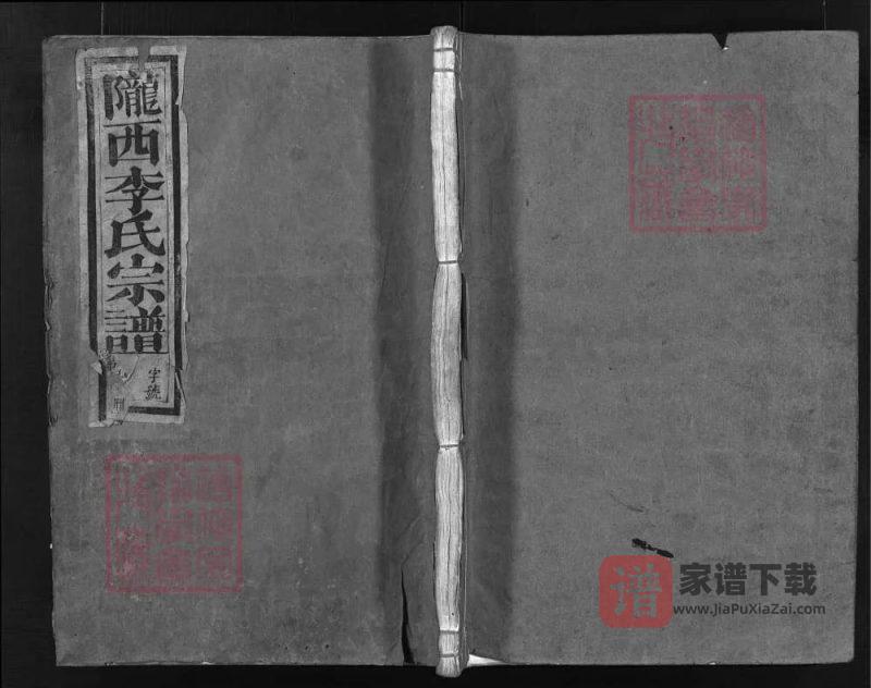 浙江兰溪皋门李氏宗谱（敦本堂）PDF高清电子版下载-家谱下载