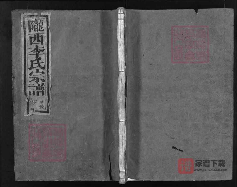 图片[1]-浙江兰溪皋门李氏宗谱（敦本堂）PDF高清电子版下载-家谱下载