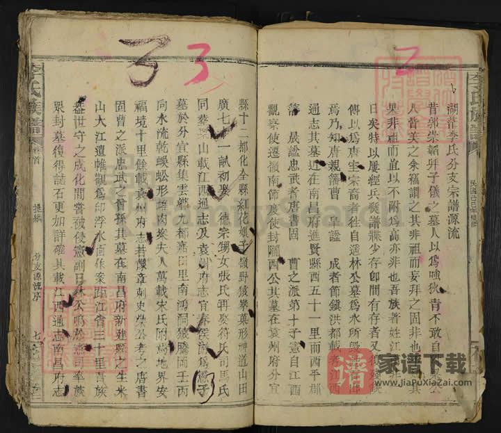 图片[2]-湖南临湘李氏宗谱（花萼堂，民国18年本）PDF高清电子版下载-家谱下载
