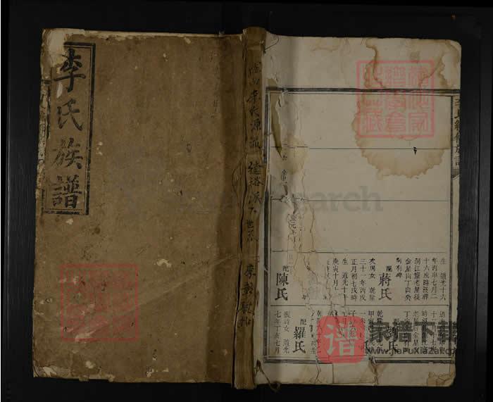 湖南安化李氏续修族谱（陇西堂）PDF高清电子版下载-家谱下载