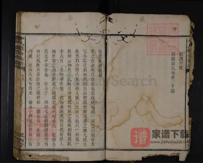 图片[2]-湖南安化李氏续修族谱（陇西堂）PDF高清电子版下载-家谱下载