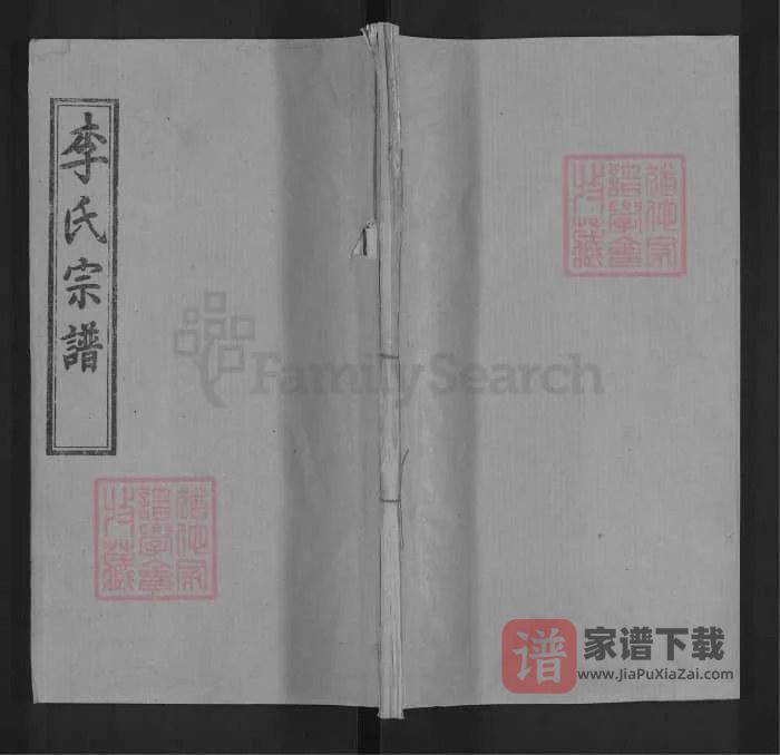 湖北麻城李氏宗谱(青莲堂,92年本)PDF高清电子版下载-家谱下载