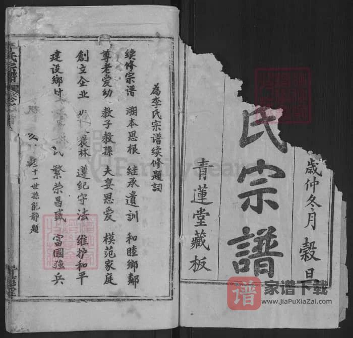 图片[2]-湖北麻城李氏宗谱（青莲堂，92年本）PDF高清电子版下载-家谱下载