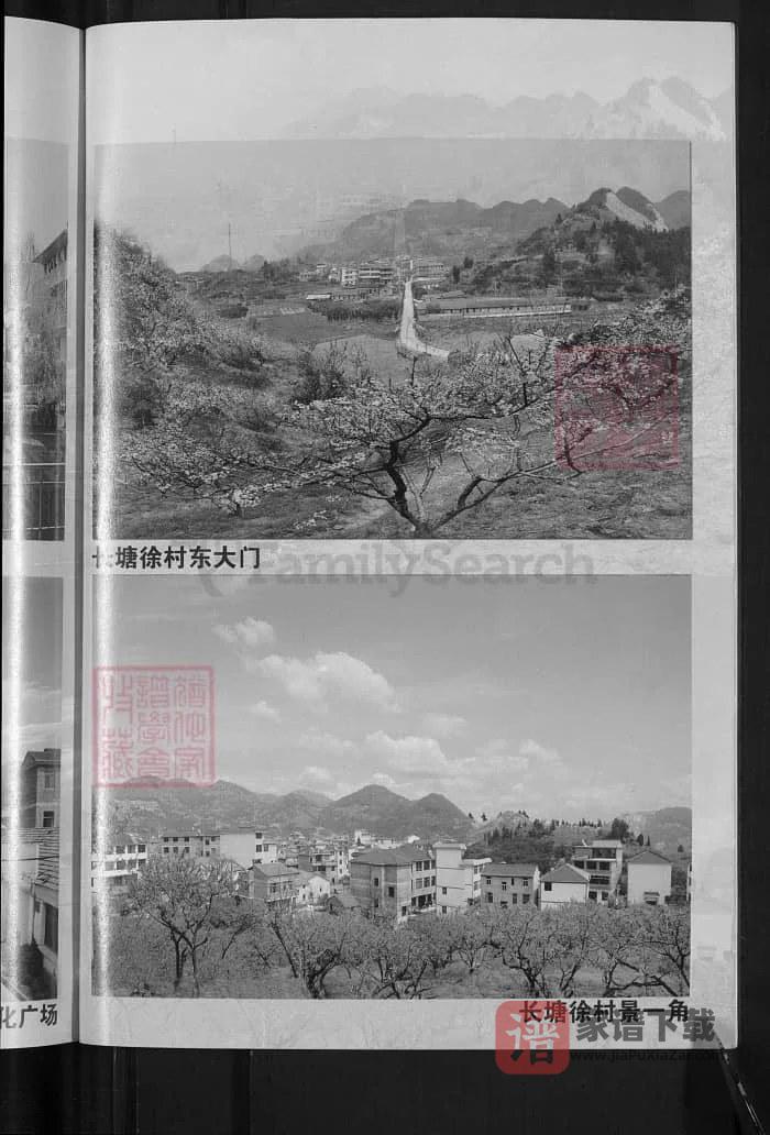 图片[2]-浙江金华金邑七峰徐氏宗谱（善居堂）PDF高清电子版下载-家谱下载