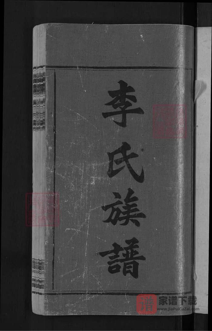 图片[2]-湖南湘乡上湘湖山李氏续修族谱（陇西堂）PDF高清电子版下载-家谱下载