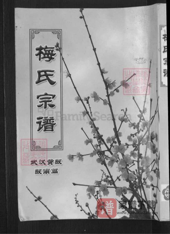 梅氏宗谱（湖北武汉黄陂陂南篇）PDF高清电子版下载-家谱下载