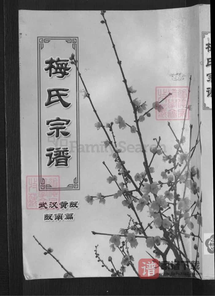 图片[1]-梅氏宗谱（湖北武汉黄陂陂南篇）PDF高清电子版下载-家谱下载