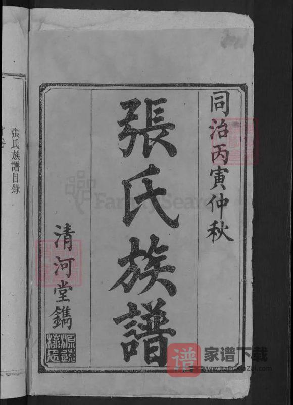 湖南益阳安化张氏续修族谱（清河堂）PDF高清电子版下载-家谱下载