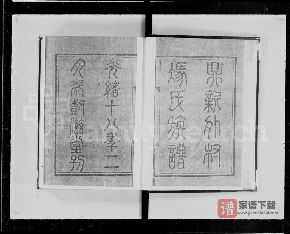 图片[2]-广东佛山顺德鼎新外村冯氏族谱PDF高清电子版下载-家谱下载