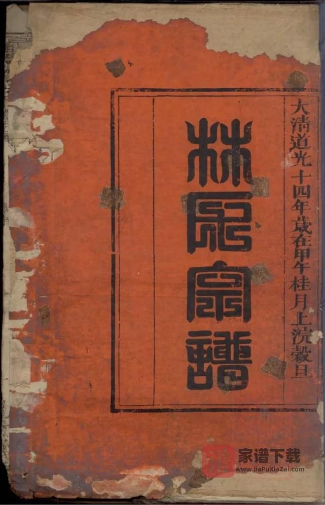 图片[1]-福建福清闽林宗谱（九牧堂）PDF高清电子版下载-家谱下载