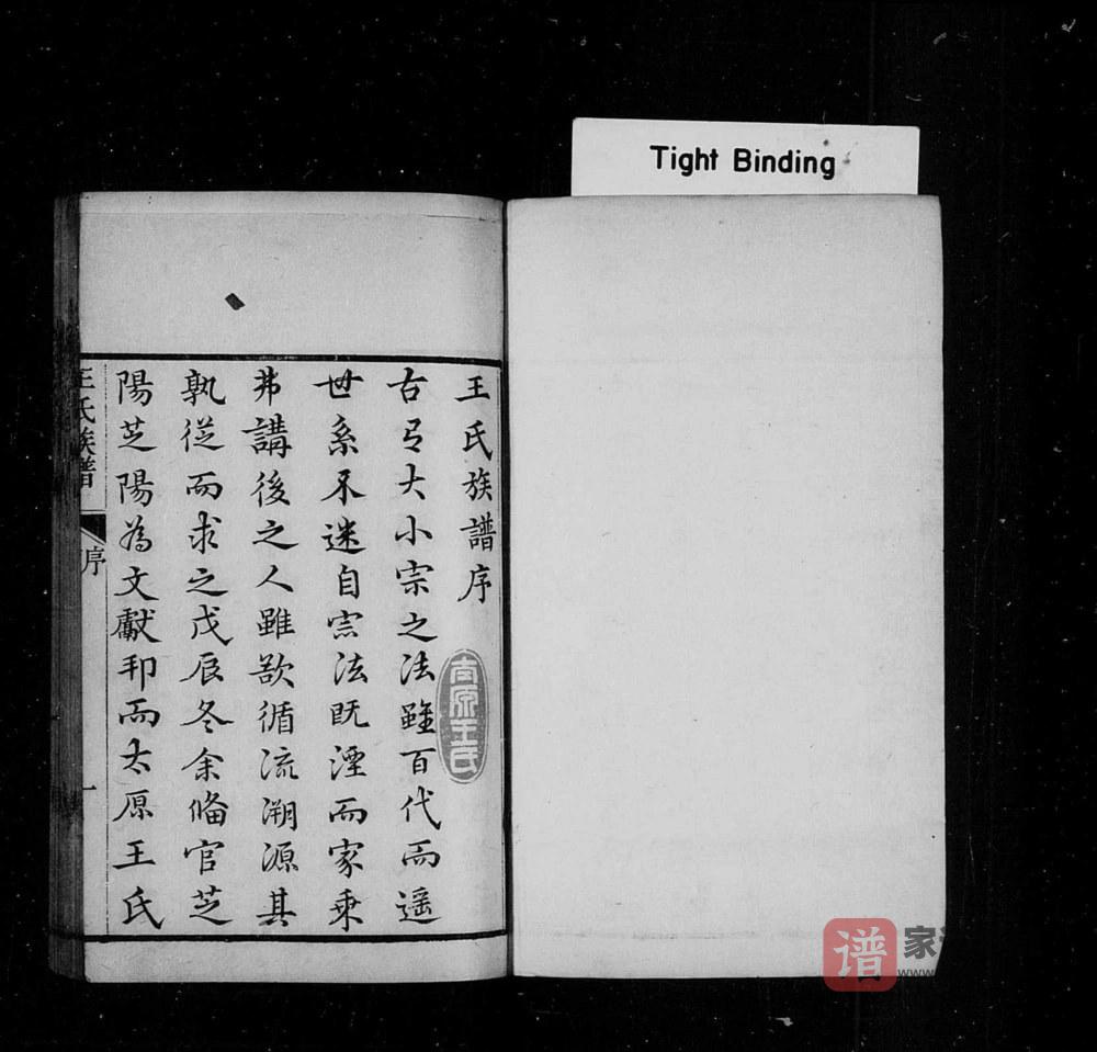 图片[2]-山东龙口黄县太原王氏族谱PDF高清电子版下载-家谱下载