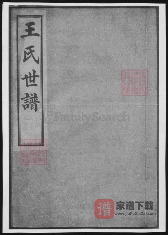 山东淄博桓台王氏世谱PDF高清电子版下载-家谱下载