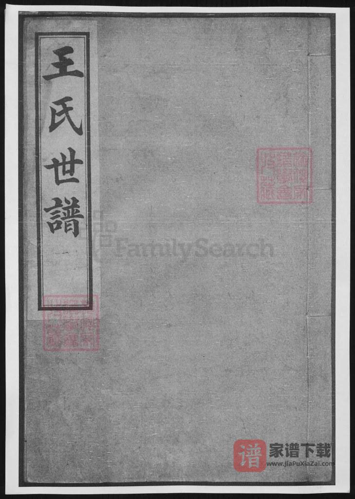 图片[1]-山东淄博桓台王氏世谱PDF高清电子版下载-家谱下载