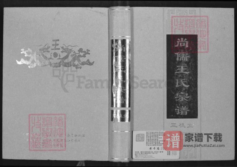 浙江湖州长兴尚儒王氏宗谱（三槐堂）PDF高清电子版下载-家谱下载