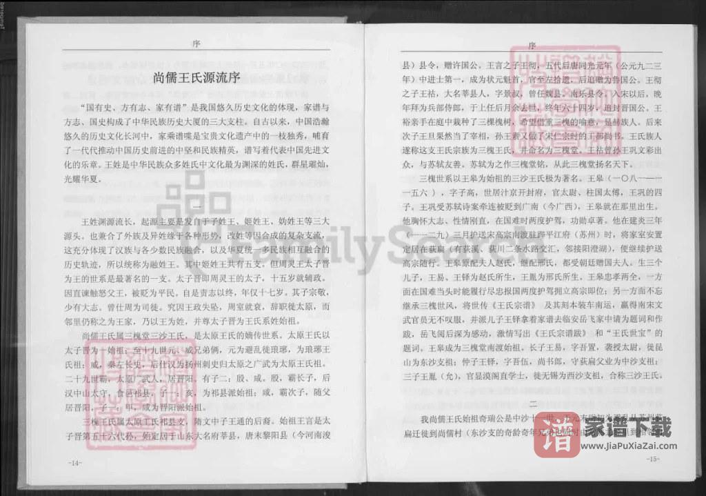 图片[2]-浙江湖州长兴尚儒王氏宗谱（三槐堂）PDF高清电子版下载-家谱下载