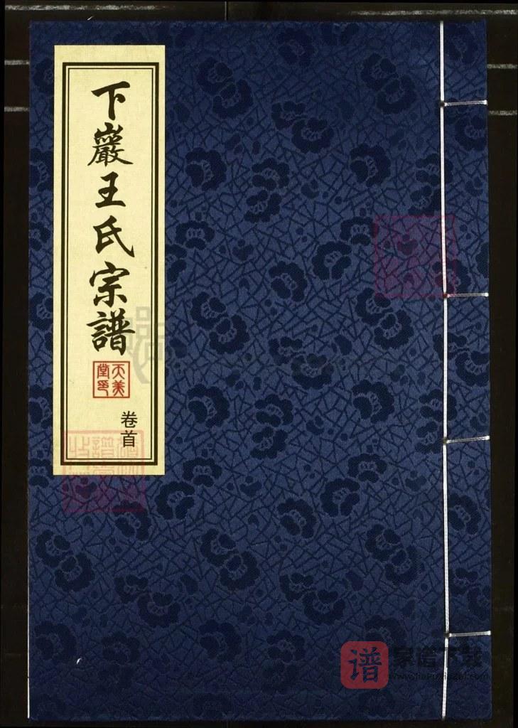 图片[1]-江苏常州武进下岩王氏宗谱（天美堂）PDF高清电子版下载-家谱下载