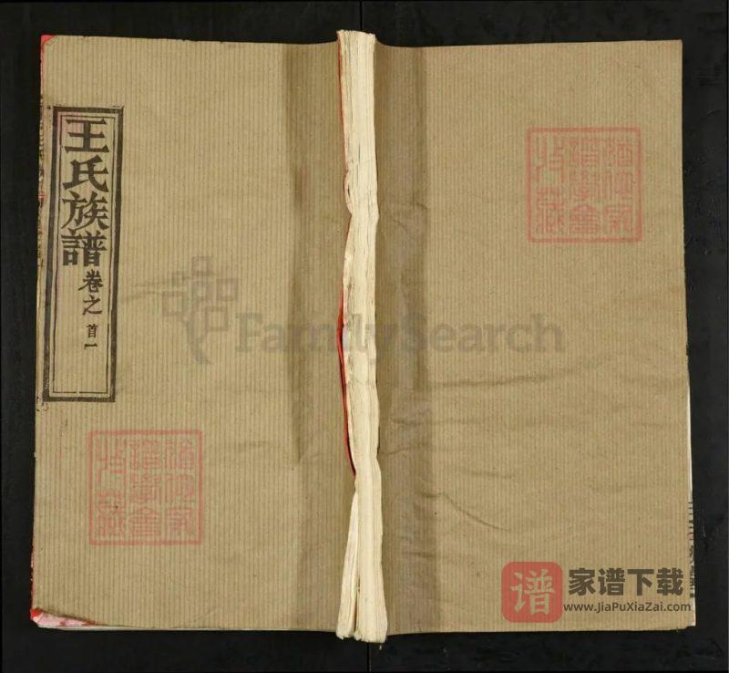 湖北黄冈阜村王氏族谱(三槐堂)PDF高清电子版下载-家谱下载