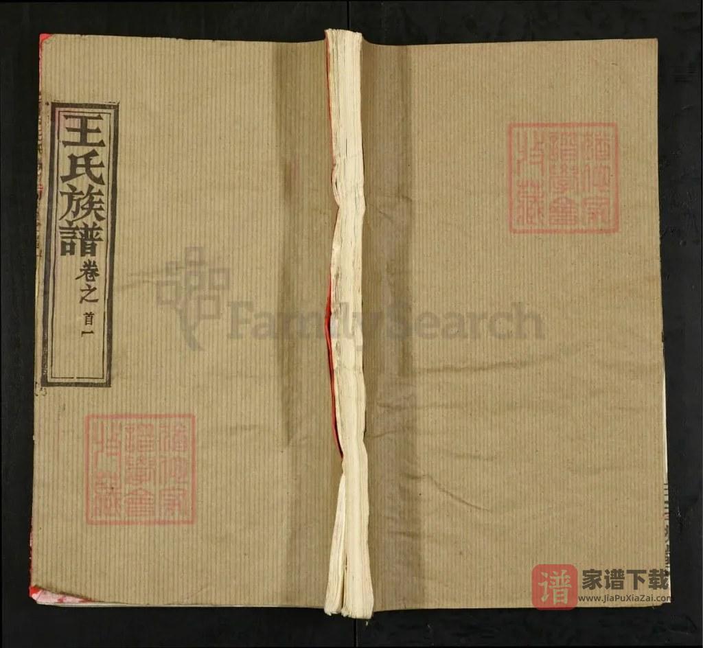 图片[1]-湖北黄冈阜村王氏族谱（三槐堂）PDF高清电子版下载-家谱下载