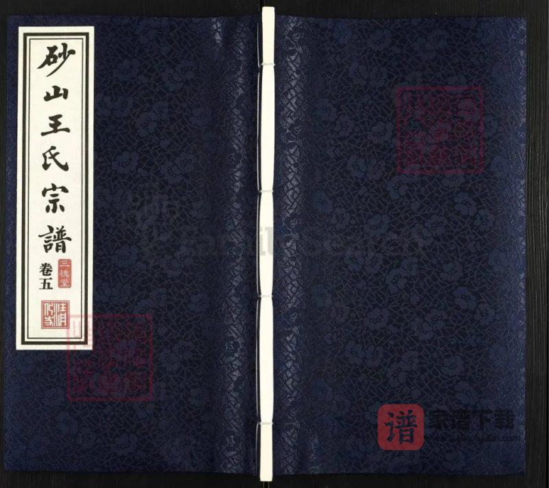 江苏江阴砂山王氏宗谱(三槐堂)PDF高清电子版下载-家谱下载